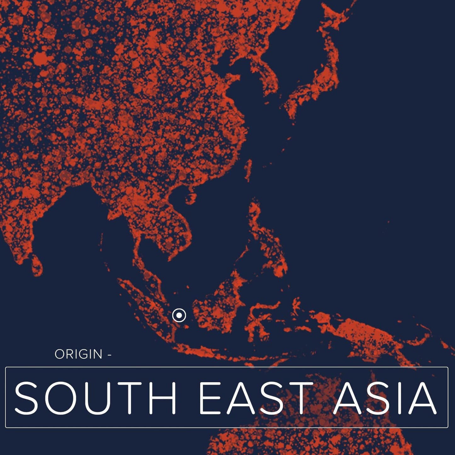 Olio Di Cocco Frazionato (No. 218) - 870Ml - Puro, Vegano, Senza OGM - Idratante per La Pelle, Capelli, Viso, Unghie