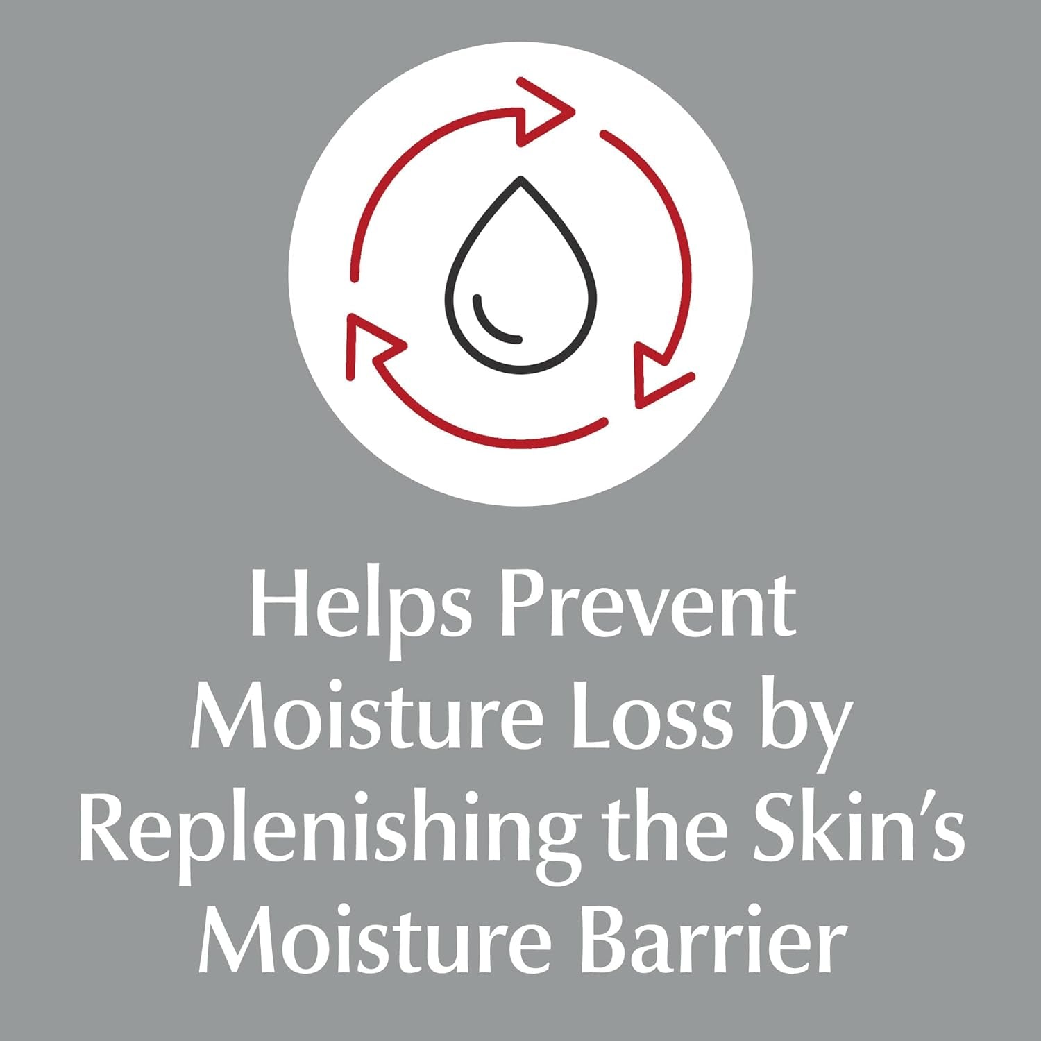 Original Healing Rich Lotion 16.9 Fluid Ounce by